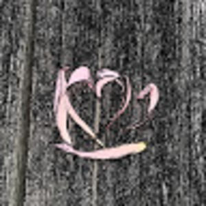 Meet your Posher, Sian